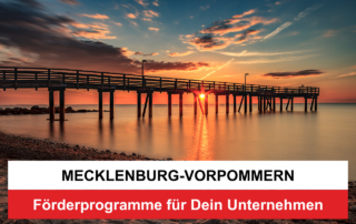 Mecklenburg-Vorpommern - Förderprogramme für Unternehmen - Förderung Mecklenburg Vorpommern